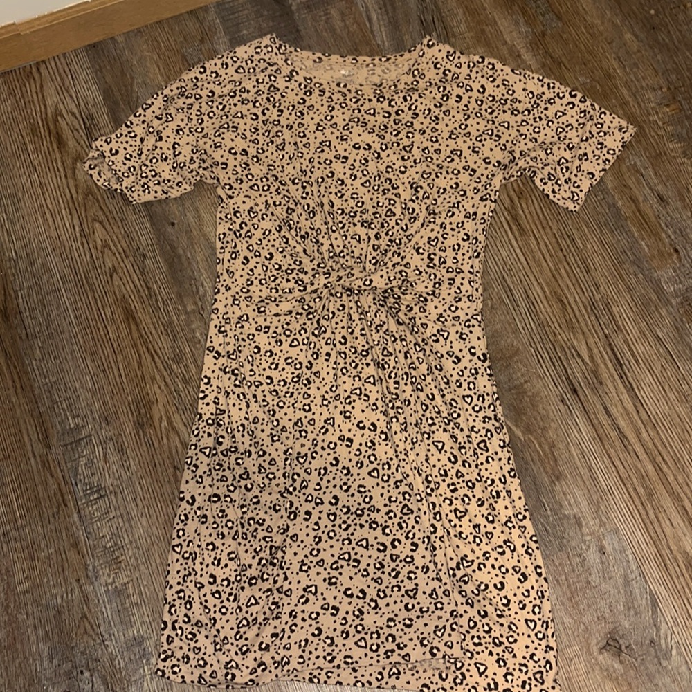 Aerie Cheetah Dress